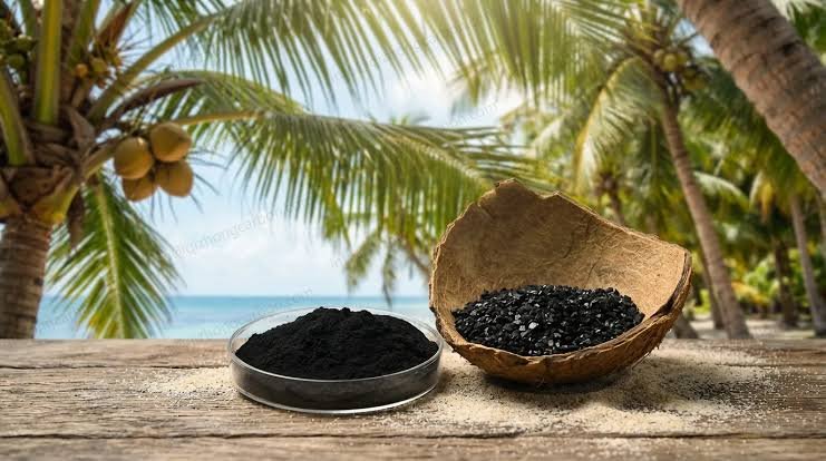 catalytic coconut shell carbon