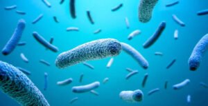microorganisms