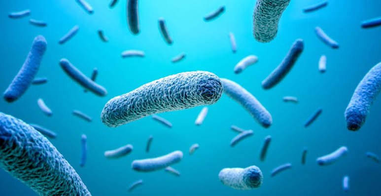 microorganisms